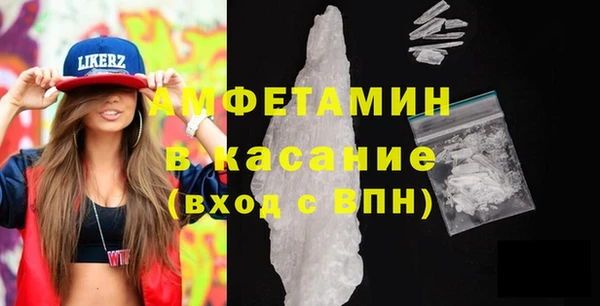 индика Алексин