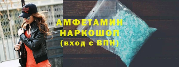 индика Алексин