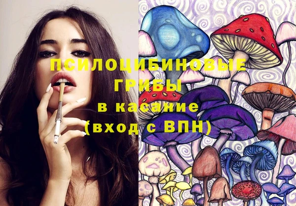 твердый Алексеевка