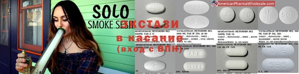 индика Алексин