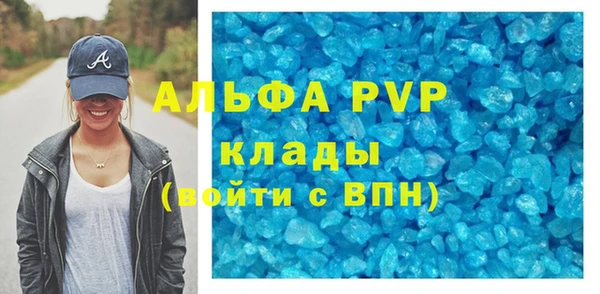 индика Алексин
