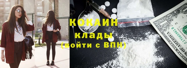 индика Алексин