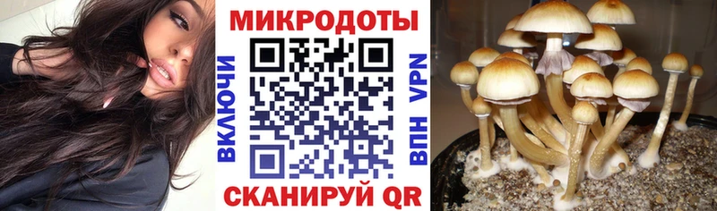 Галлюциногенные грибы GOLDEN TEACHER  Борзя 