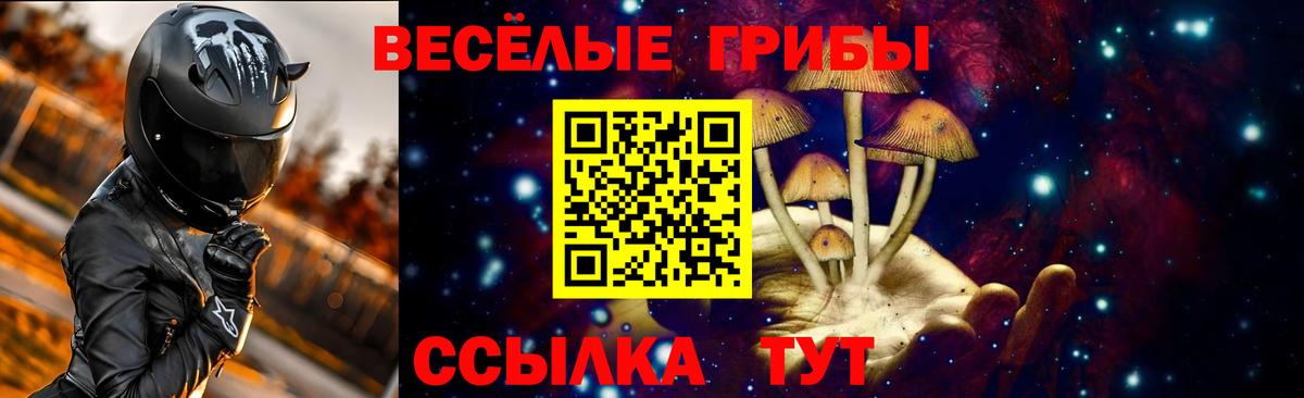 Псилоцибиновые грибы Psilocybe  Галлюциногенные грибы ЛСД  Борзя  что такое наркотик  Вход с VPN 