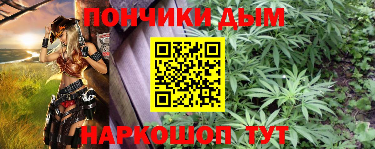 Канабис сатива  Каннабис план  МАРИХУАНА тримм  Вход с VPN  Борзя 